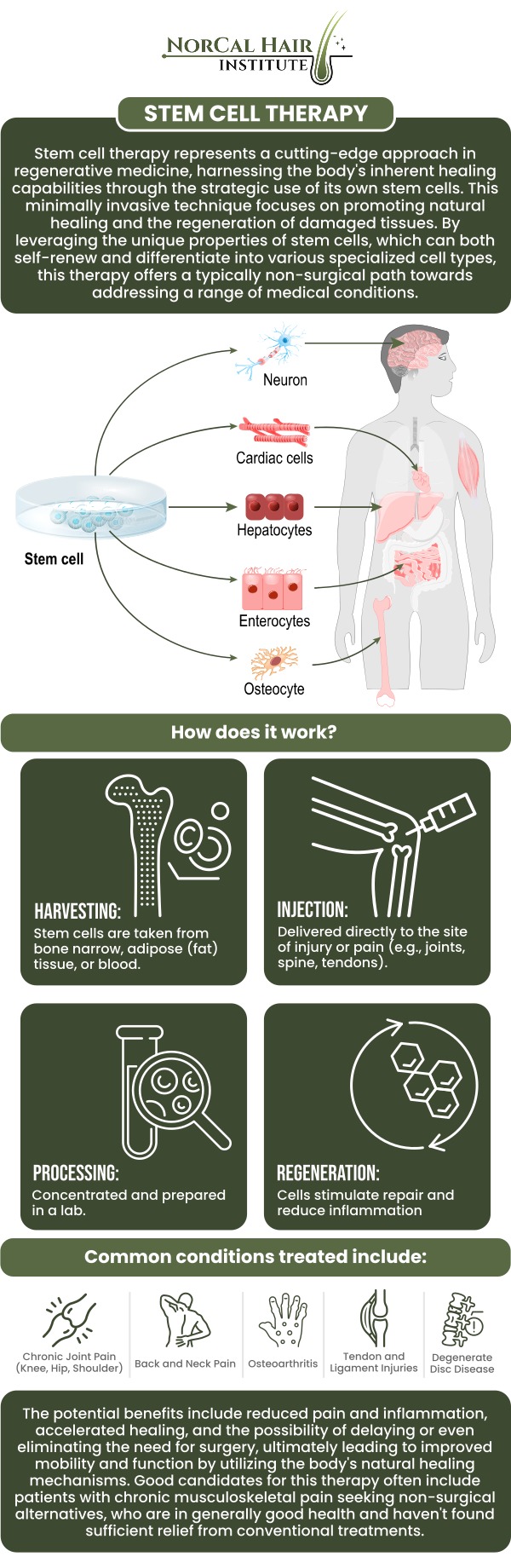 Stem cell therapy represents the future of hair restoration, offering a cutting-edge solution for regenerating hair follicles and stimulating new growth. By using the body’s own stem cells, this treatment promotes healing, rejuvenates dormant follicles, and enhances hair density. Stem cells work by encouraging the scalp's natural regenerative abilities, making them an effective alternative or complement to traditional hair restoration methods. Dr. Sadeeq Sadiq at NorCal Hair Institute leads the way in utilizing stem cell therapy, providing patients with advanced treatment plans for natural hair regeneration. Contact us today or schedule an appointment online for expert hair restoration treatments. Conveniently located at 1561 Creekside Dr Suite 140 in Folsom, CA. Stem cell therapy represents the future of hair restoration, offering a cutting-edge solution for regenerating hair follicles and stimulating new growth. By using the body’s own stem cells, this treatment promotes healing, rejuvenates dormant follicles, and enhances hair density. Stem cells work by encouraging the scalp's natural regenerative abilities, making them an effective alternative or complement to traditional hair restoration methods. Dr. Sadeeq Sadiq at NorCal Hair Institute leads the way in utilizing stem cell therapy, providing patients with advanced treatment plans for natural hair regeneration. Contact us today or schedule an appointment online for expert hair restoration treatments. Conveniently located at 1561 Creekside Dr Suite 140 in Folsom, CA.